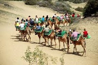 Kamel Safari maspalomas